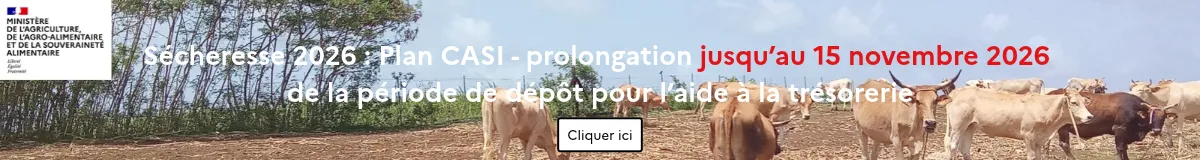 S&eacute;cheresse 2026 en Guadeloupe : aide exceptionnelle &agrave; la tr&eacute;sorerie pour les exploitations agricoles 