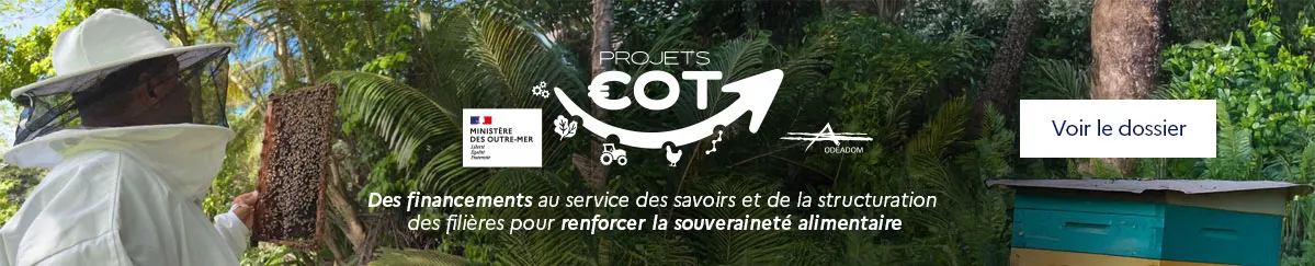 D&eacute;couvrez les projets COT ainsi que l&rsquo;ensemble des initiatives r&eacute;alis&eacute;es gr&acirc;ce aux financements